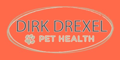 Dirk Drexel